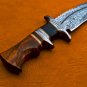 14.5 inch Custom handmade Damascus hunting knife Handle Tali Wood with leather sheath 101