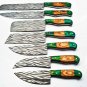 Chef Knife Set Vintage Knife Set Hand Forged J2 Steel Knives Handle Buffalo Bone,Olive Wood Mothers