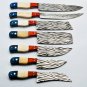 Chef Knife Set Vintage Knife Set Hand Forged J2 Steel Knives Handle Buffalo Bone,Olive Wood