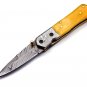 Hunting knife with knife sharpener Damascus Steel Handle Camel Bone with leather Sheath 909