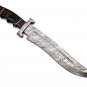 17.25" Coustom handmade Forged Damascus Steel Hunting knife 100% Handmade Damascus Steel Handle