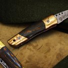 Apollo 7.5 Inches Long High End Damascus Pocket Knives Mokume Bolsters,Tiger Iron Gem Stone,Red Ruby