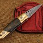Apollo 7.5 Inches Long High End Damascus Pocket Knives Mokume Bolsters,Tiger Iron Gem Stone,Red Ruby