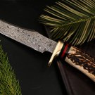 Banded Flying Snake Knife 12 in Long 7 in Blade 12 Ounce Damascus Hunting Fixed Blade