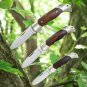 Pocket Knife N690 Desert Ironwood, Nickel Silver Back lock Nail Nick With Leather Sheath