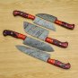 Handmade Damascus Chef set Of 5pcs With Leather, Damascus Knife Set, Damascus Chef Knife