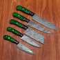 Handmade Damascus Chef set 5pcs With Leather Cover,Kichten Knife,Damascus Knife Set, Kitchen knives