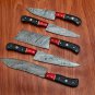 Handmade Damascus Chef set Of 5pcs With Leather Cover,Kichten Knife,Damascus Knife Set,Kitchenknives