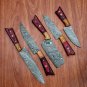 Handmade Damascus Chef set Of 5pcs With Leather, Damascus Knife Set, Damascus Chef Knife