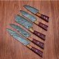 Handmade Damascus Chef set Of 5pcs With Leather, Damascus Knife Set, Damascus Chef Knife