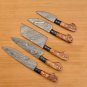 Custom Handmade Damascus Chef set Of 5pcs With Leather Cover,Kitchen Knife, Damascus Knife Set