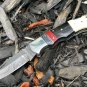 Handmade Damascus Steel Beautiful Design Pocket Folding Knife with Wooden Handle