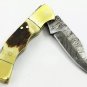 Handmade Damascus Steel Folding Lockback Pocket Knife Stag horn Handle