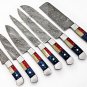 Custom Hand Made Damascus Steel #7 Pcs of Texas Flag Handle Kitchen knives Set