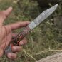 Back Lock 9" Handmade Damascus Steel Pocket Knife Pakka Wood Handle Folding Knife