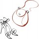Women's Accessories