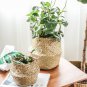 Woven Seagrass Handmade Tote Belly Basket for Storage,Laundry,Plant Pot Cover