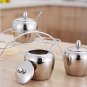 Stainless Steel Seasoning Containers Set,Spice Salt Storage Organizers Jar Rack