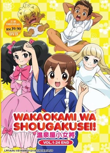 DVD ANIME POKEMON XY & Z Vol.1-49 End Region All English Subtitle