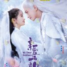 Chinese Drama HD DVD My Dear Brothers 亲爱的吾兄 Vol.1-35 End (2021) English Subtitle