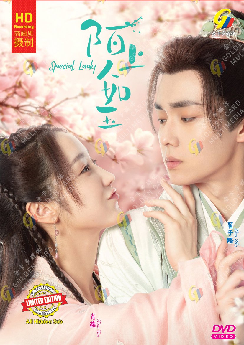 Chinese Drama HD DVD Special Lady Vol.1-36 End (2023 , &eacute;��&auml;&cedil;�&auml;&ordm;&ordm;&aring;&brvbar;�&ccedil;��) English Subtitle