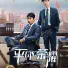 Chinese Drama HD DVD The Ordinary Glory TV Series Vol.1-41 End (2020 , 平凡的荣耀)