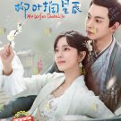 Chinese Drama HD DVD My Wife's Double Life TV Series Vol.1-24 End (2024 / 柳叶摘星辰)