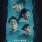 Korean Horror Movie DVD Exhuma (2024 Film , ç ´å¢“) English Subtitle