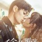 Chinese Drama HD DVD Miss Ye in Wonderland TV Series Vol.1-24 End (2024 , åéè«å£å¼ )