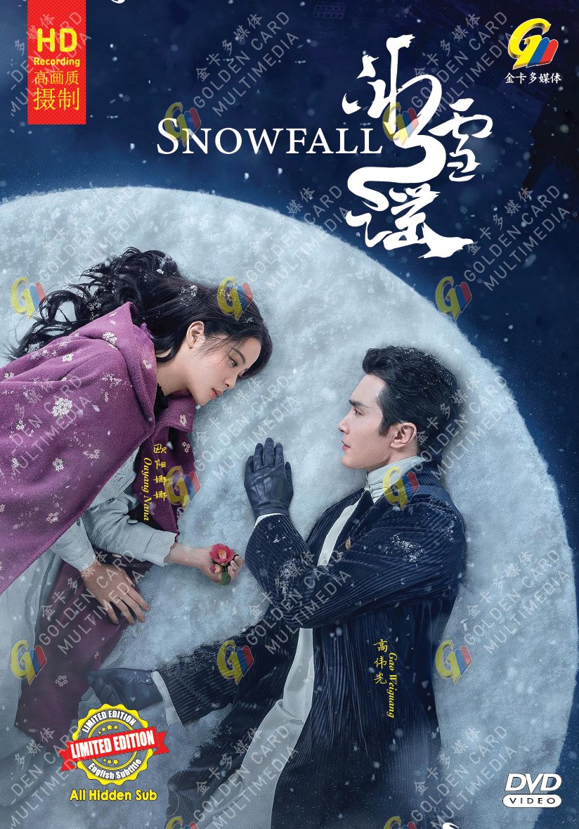 Chinese Drama HD DVD Snowfall TV Series Vol.1-24 End (2024 , &aring;�&deg;&eacute;�&ordf;&egrave;&deg;&pound;) English Sub