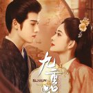 Chinese Drama DVD Blossom TV Series Vol.1-34 End (2024 , 九重紫) English Subtitle
