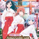Anime DVD Amagami-san Chi no Enmusubi TV Series Vol.1-24End English Dubbed