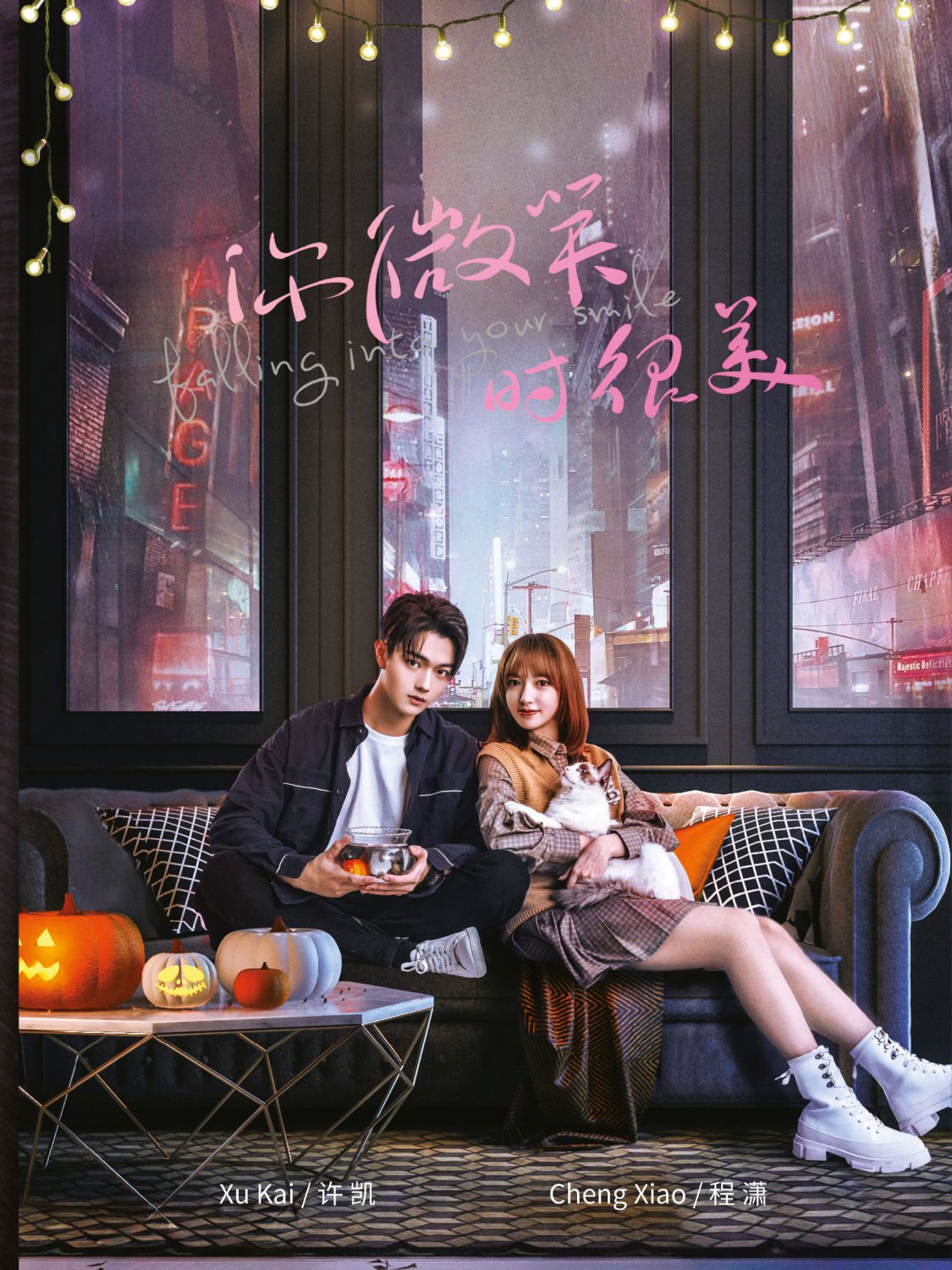 Chinese Drama DVD Falling Into Your Smile TV Series Vol.1-31End (2021 / &auml;&frac12;&nbsp;&aring;&frac34;&reg;&ccedil;&not;�&aelig;�&para;&aring;&frac34;�&ccedil;&frac34;�)