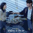 Korean Drama DVD Walking on Thin Ice TV Series Vol.1-12End (2025 , 恩秀的好日子)