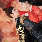 Chinese Drama DVD Blossom TV Series Vol.1-34End (2024 , 九重紫) English Subtitle