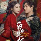 Chinese Drama DVD Love Beyond the Grave TV Series Vol.1-40End (2026 / 白日提灯)