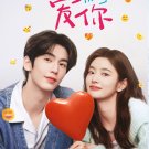 Chinese Drama DVD The Best Thing TV Series Vol.1-28End (2025 / 爱你) English Sub