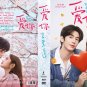 Chinese Drama DVD The Best Thing TV Series Vol.1-28End (2025 / çˆ±ä½ ) English Sub