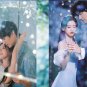 Chinese Drama DVD Never-Ending Summer TV Series Vol.1-29End (2026 / &ccedil;�&frac12;&aring;&curren;�)