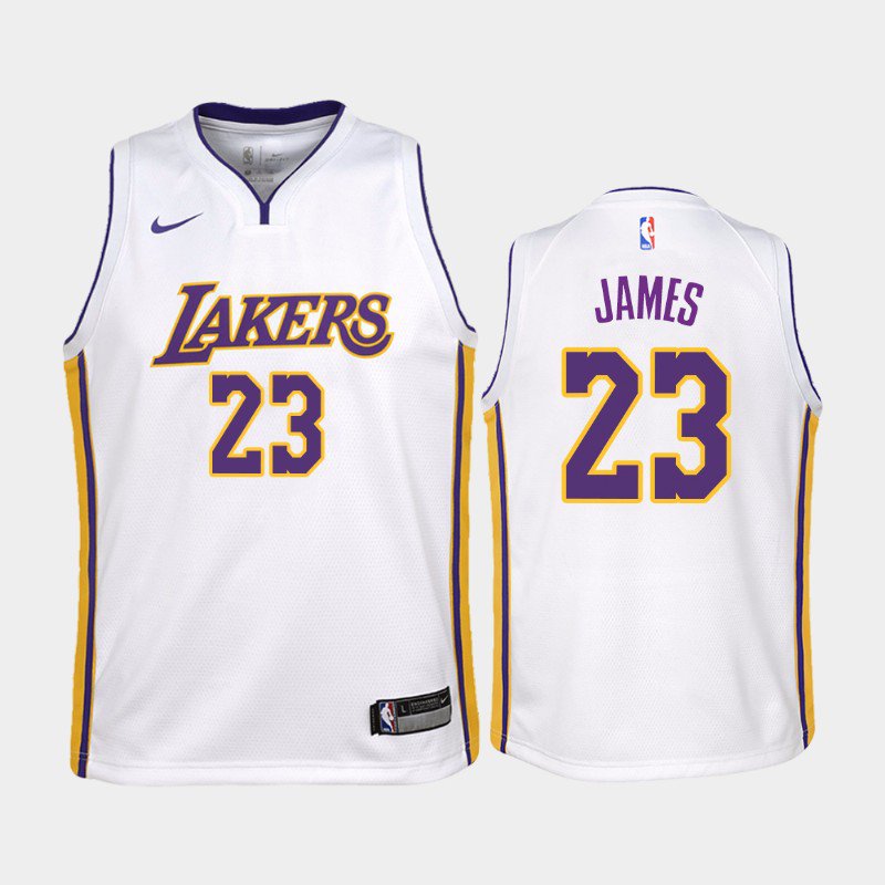 Youth Los Angeles Lakers #23 Lebron James Jersey