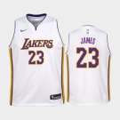Youth Los Angeles Lakers #23 Lebron James Jersey
