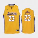 Youth Los Angeles Lakers #23 Lebron James Swingman Jersey