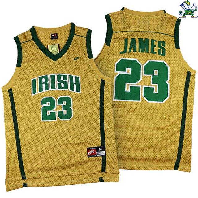 LeBron James #23 Fighting Irish High School Gold Jersey