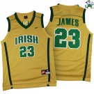 LeBron James #23 Fighting Irish High School Gold Jersey