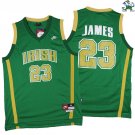 LeBron James #23 Fighting Irish High School Green Jersey