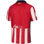 Atletico De Madrid Home Soccer Jersey 20 21 Men's Soccer Stadium Football Shirt