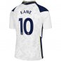 Harry Dele #10 Tottenham Hotspur Home Soccer Jersey 20 21 Men's Football Stadium Shirt Soccer Kit