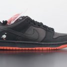 Nike SB Dunk Low Black Pigeon 883232-008