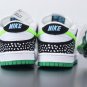 Nike Dunk SB Low Loon Green Spark 313170-011