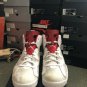 Jordan 6 Retro Alternate Hare